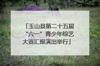玉山县第二十五届“六一”青少年综艺大赛汇报演出举行