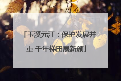玉溪元江：保护发展并重 千年梯田展新颜