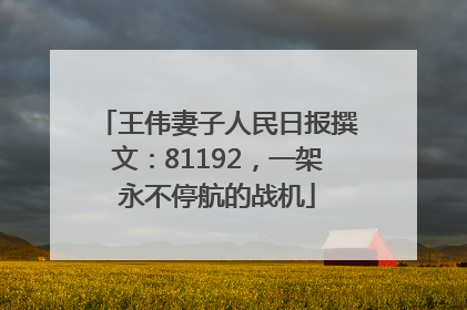 王伟妻子人民日报撰文：81192，一架永不停航的战机