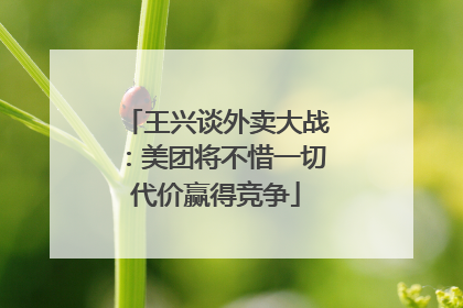 王兴谈外卖大战：美团将不惜一切代价赢得竞争