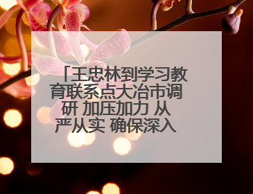 王忠林到学习教育联系点大冶市调研 加压加力 从严从实 确保深入贯彻中央八项规定精神学习教育取得实效