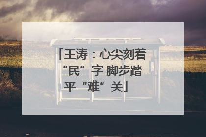 王涛：心尖刻着“民”字 脚步踏平“难”关