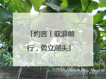 灼言丨驭浪前行，勇立潮头
