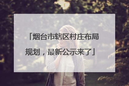 烟台市辖区村庄布局规划，最新公示来了