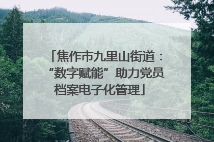 焦作市九里山街道：“数字赋能”助力党员档案电子化管理
