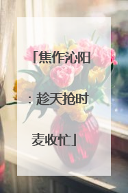 焦作沁阳：趁天抢时麦收忙