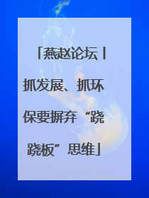 燕赵论坛丨抓发展、抓环保要摒弃“跷跷板”思维