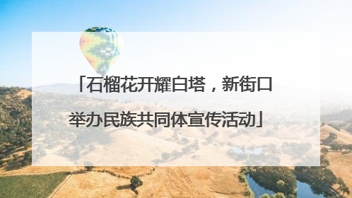 石榴花开耀白塔，新街口举办民族共同体宣传活动