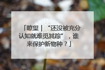 瞭望｜“还没被充分认知就难觅其踪”，谁来保护新物种？