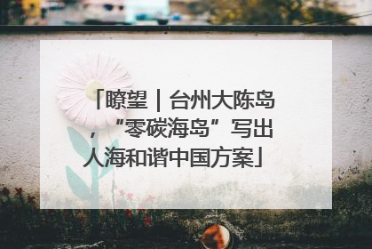 瞭望｜台州大陈岛，“零碳海岛”写出人海和谐中国方案