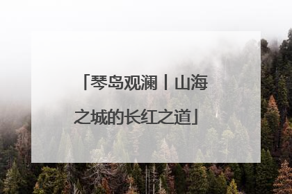琴岛观澜丨山海之城的长红之道