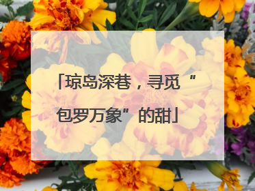 琼岛深巷，寻觅“包罗万象”的甜
