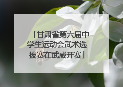 甘肃省第六届中学生运动会武术选拔赛在武威开赛