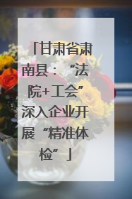 甘肃省肃南县：“法院+工会”深入企业开展“精准体检”
