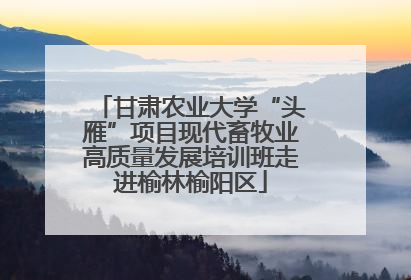 甘肃农业大学“头雁”项目现代畜牧业高质量发展培训班走进榆林榆阳区