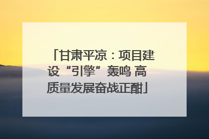 甘肃平凉：项目建设“引擎”轰鸣 高质量发展奋战正酣