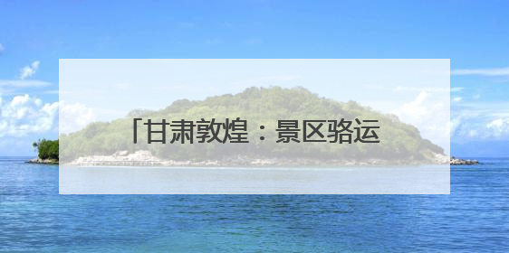 甘肃敦煌：景区骆运服务实行“三班倒”
