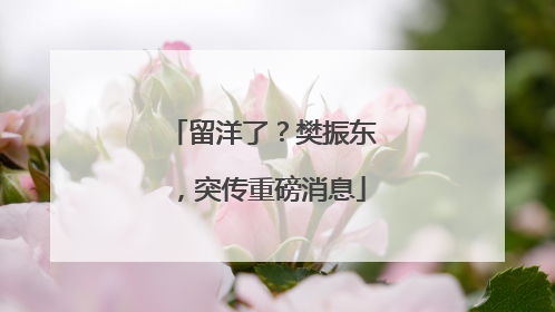 留洋了？樊振东，突传重磅消息