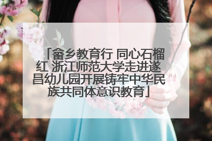 畲乡教育行 同心石榴红 浙江师范大学走进遂昌幼儿园开展铸牢中华民族共同体意识教育