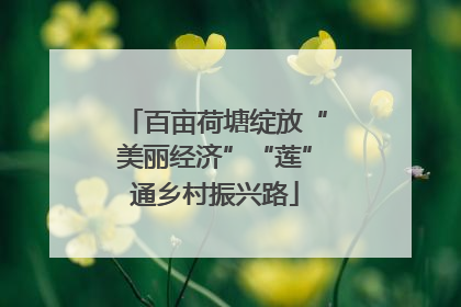 百亩荷塘绽放“美丽经济”“莲”通乡村振兴路