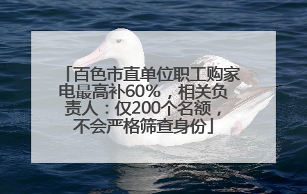 百色市直单位职工购家电最高补60％，相关负责人：仅200个名额，不会严格筛查身份