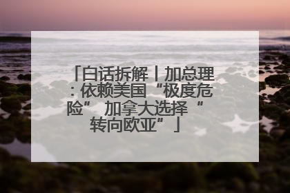白话拆解丨加总理：依赖美国“极度危险” 加拿大选择“转向欧亚”