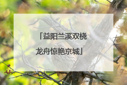 益阳兰溪双桡龙舟惊艳京城