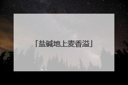 盐碱地上麦香溢