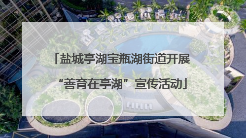 盐城亭湖宝瓶湖街道开展“善育在亭湖”宣传活动