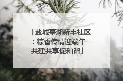 盐城亭湖新丰社区：粽香传情迎端午 共建共享促和谐