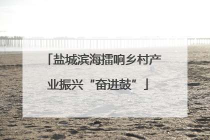 盐城滨海擂响乡村产业振兴“奋进鼓”