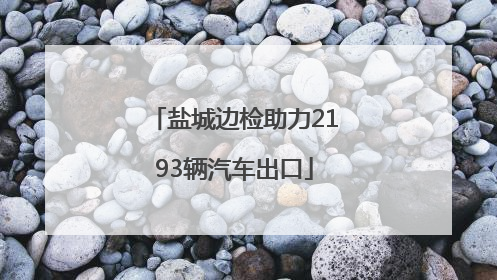 盐城边检助力2193辆汽车出口