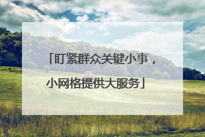 盯紧群众关键小事，小网格提供大服务