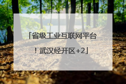 省级工业互联网平台！武汉经开区+2