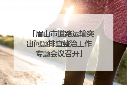 眉山市道路运输突出问题排查整治工作专题会议召开