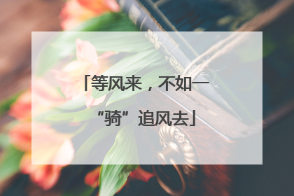 等风来，不如一“骑”追风去