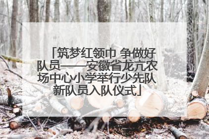 筑梦红领巾 争做好队员——安徽省龙亢农场中心小学举行少先队新队员入队仪式