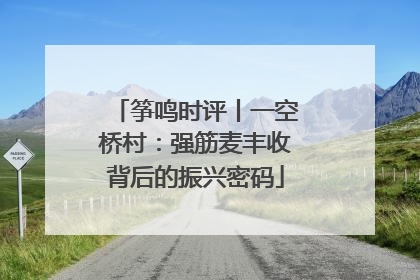 筝鸣时评丨一空桥村：强筋麦丰收背后的振兴密码
