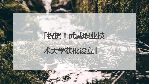 祝贺！武威职业技术大学获批设立
