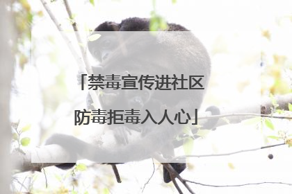 禁毒宣传进社区 防毒拒毒入人心