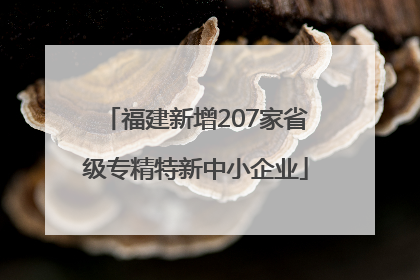 福建新增207家省级专精特新中小企业