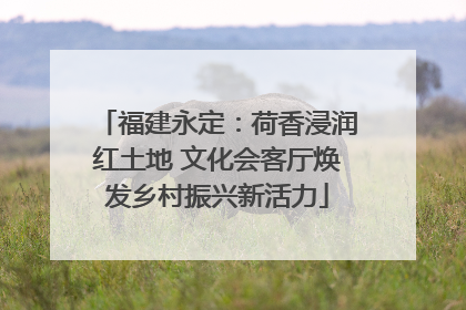 福建永定：荷香浸润红土地 文化会客厅焕发乡村振兴新活力
