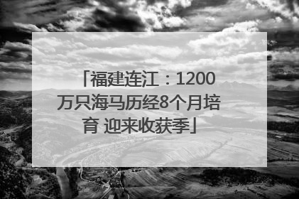 福建连江：1200万只海马历经8个月培育 迎来收获季