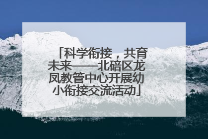 科学衔接，共育未来——北碚区龙凤教管中心开展幼小衔接交流活动