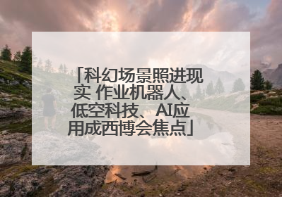 科幻场景照进现实 作业机器人、低空科技、AI应用成西博会焦点
