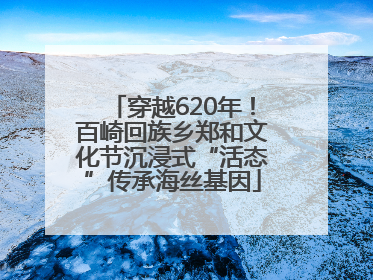 穿越620年！百崎回族乡郑和文化节沉浸式“活态”传承海丝基因