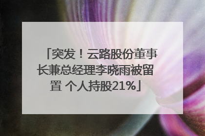突发！云路股份董事长兼总经理李晓雨被留置 个人持股21%