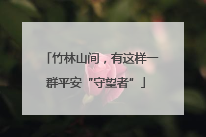 竹林山间，有这样一群平安“守望者”