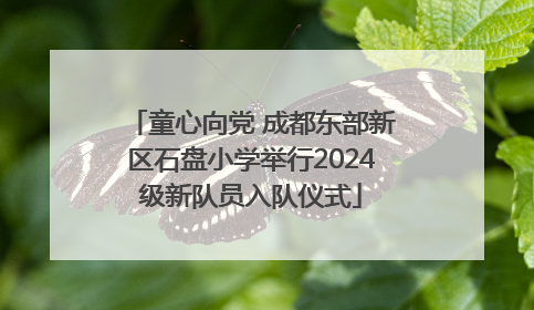童心向党 成都东部新区石盘小学举行2024级新队员入队仪式
