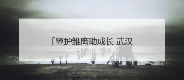 翼护雏鹰助成长 武汉市司法局何湾强戒所开展禁毒宣传进校园活动